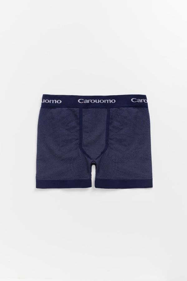 boxer santi