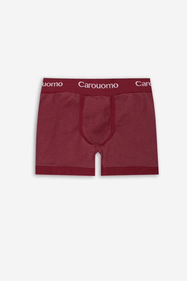 boxer santi