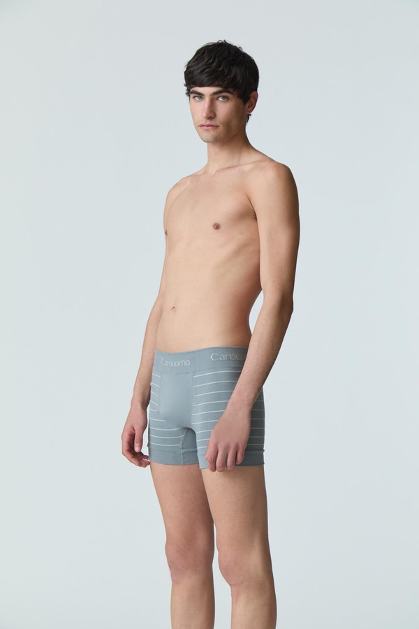 pack boxer tom