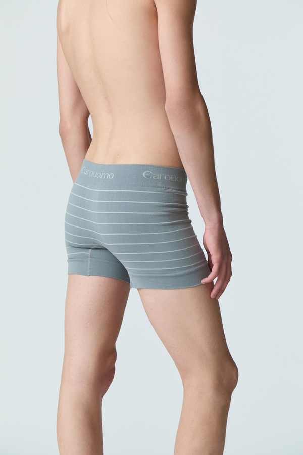 pack boxer tom