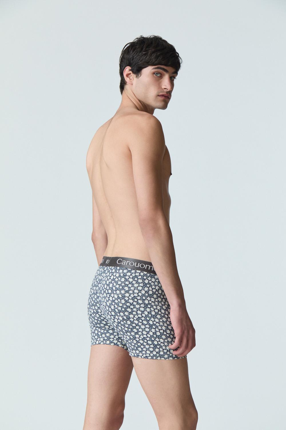 boxer matt