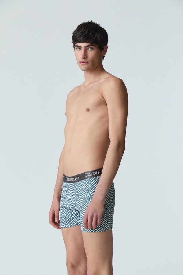 boxer matt
