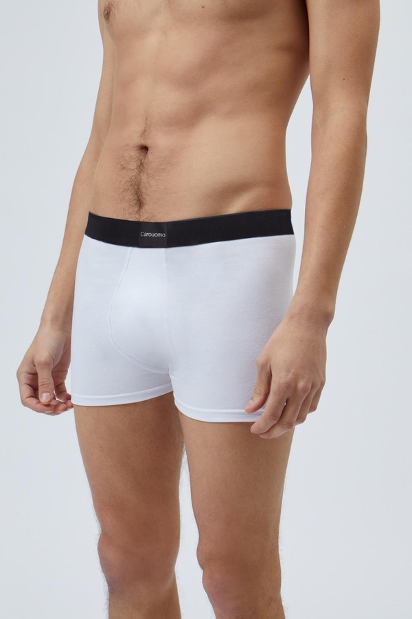 boxer new jeff
