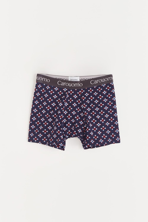 boxer matt
