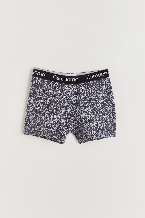 boxer matt