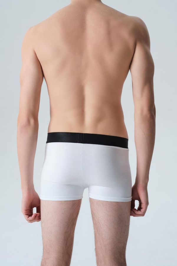 boxer new jeff