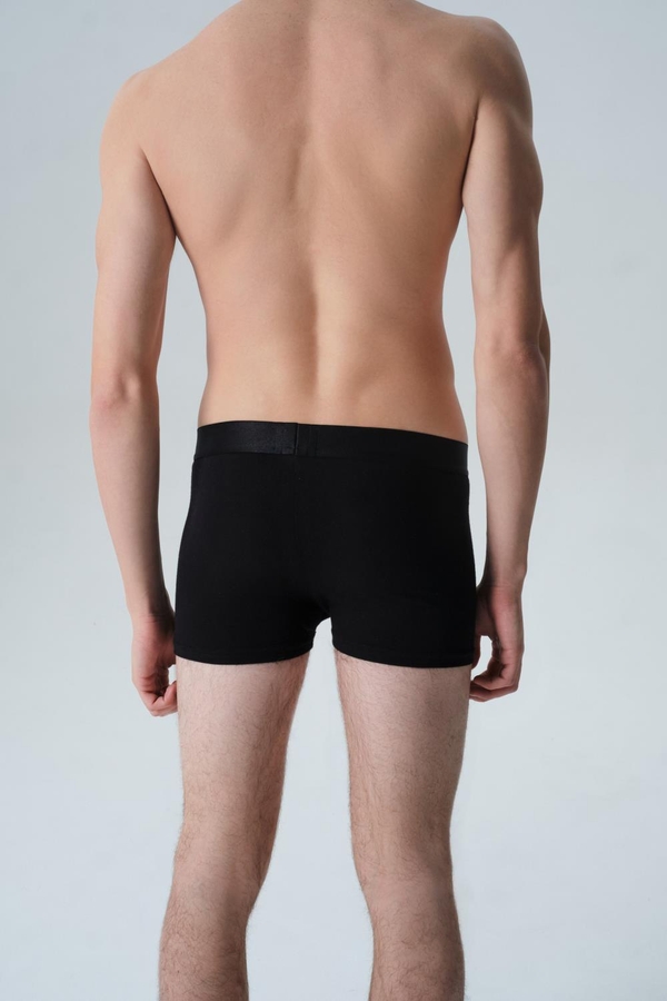 boxer new jeff