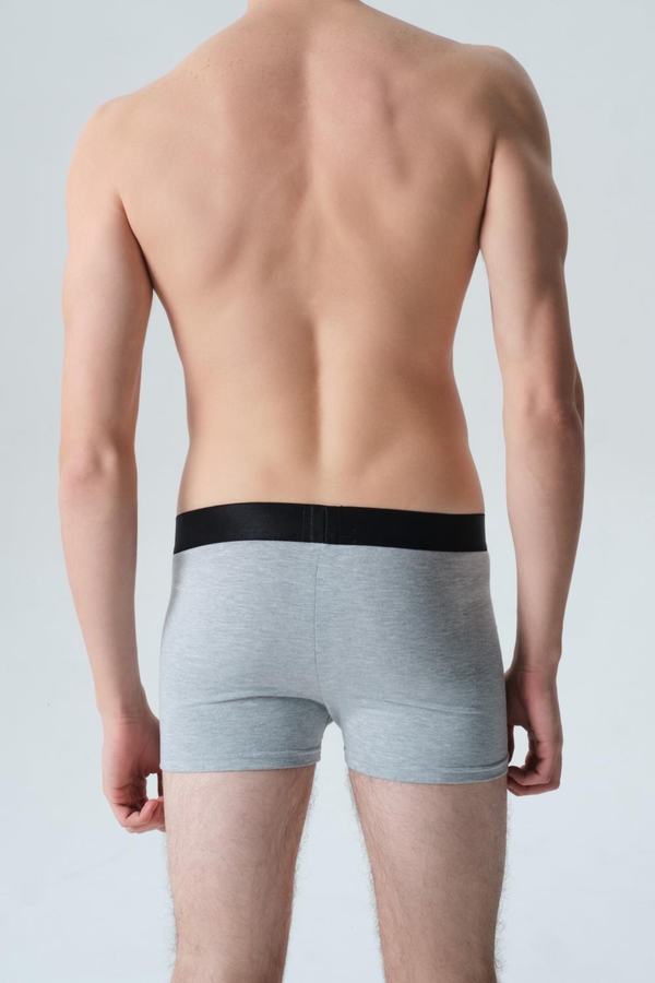 boxer new jeff