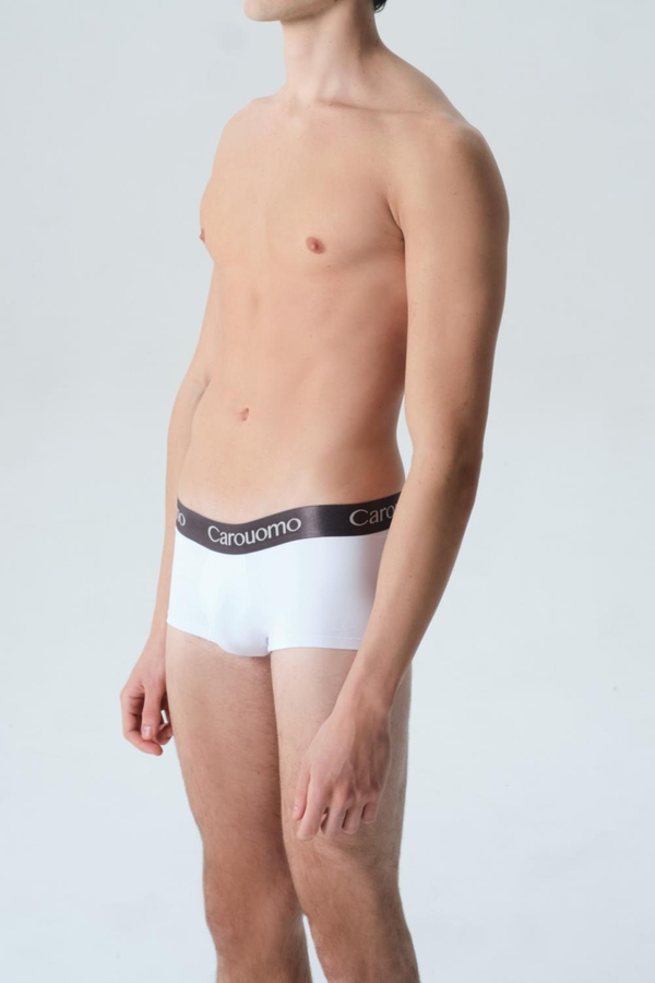 boxer evan