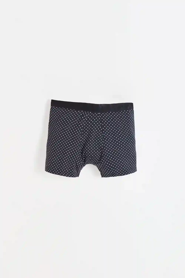 boxer matt