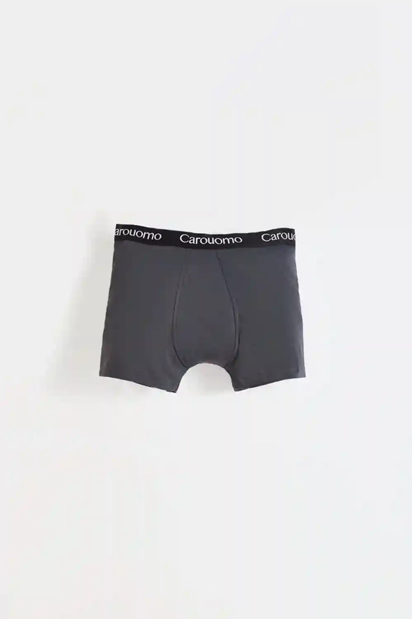 boxer paul
