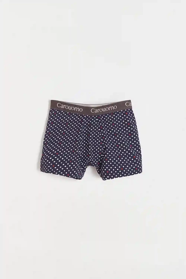 boxer matt