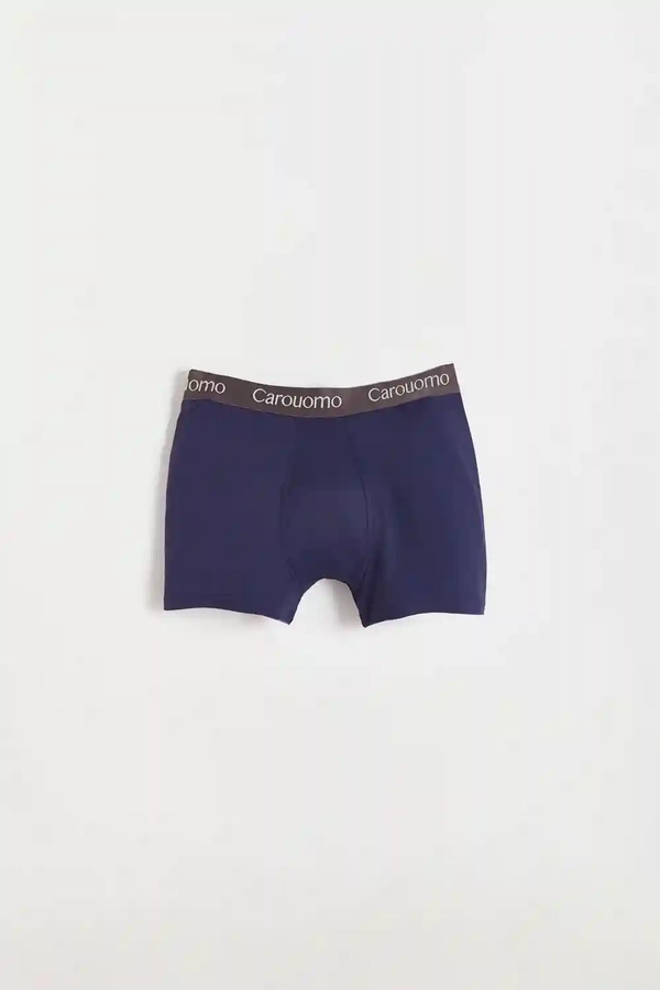 boxer paul